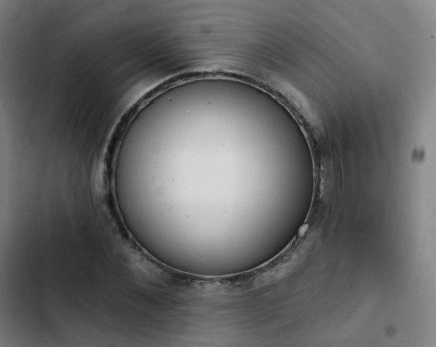 X0000103280876200809051528