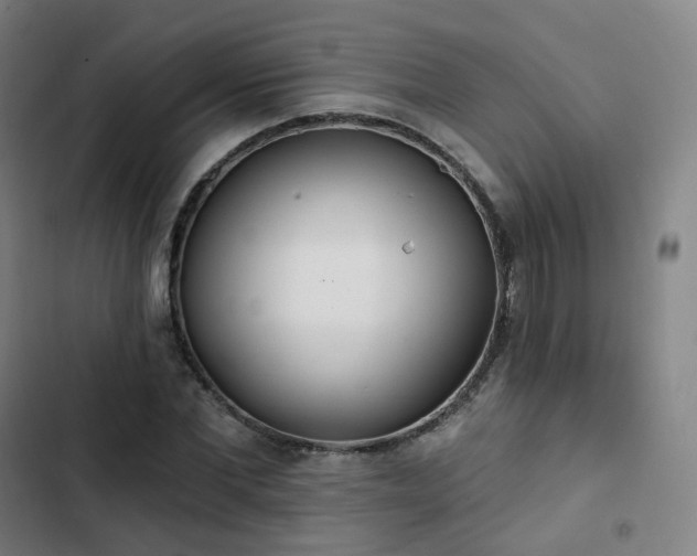 X0000103280877200809051528