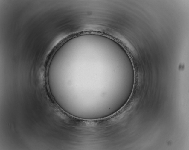 X0000103280878200809051528