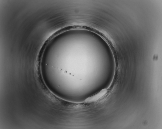 X0000103280879200809051528