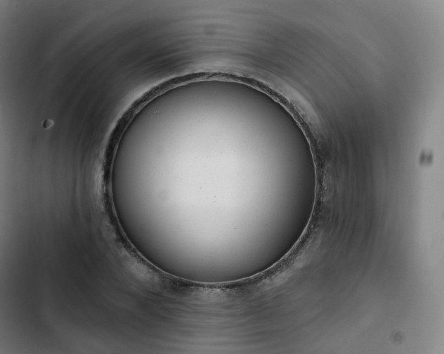 X0000103280880200809051528