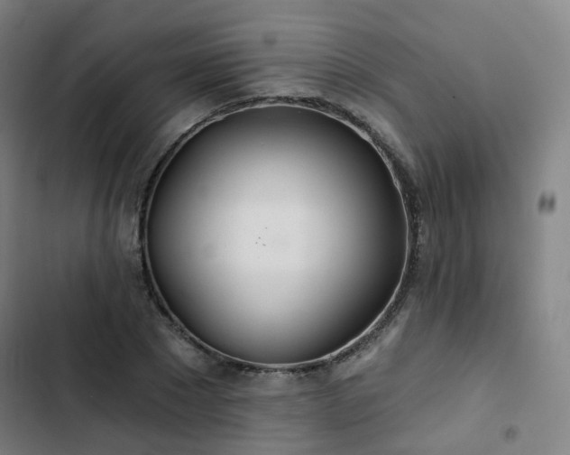 X0000103280881200809051528