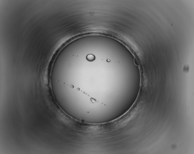 X0000103280883200809051528