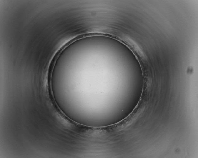 X0000103280884200809051528