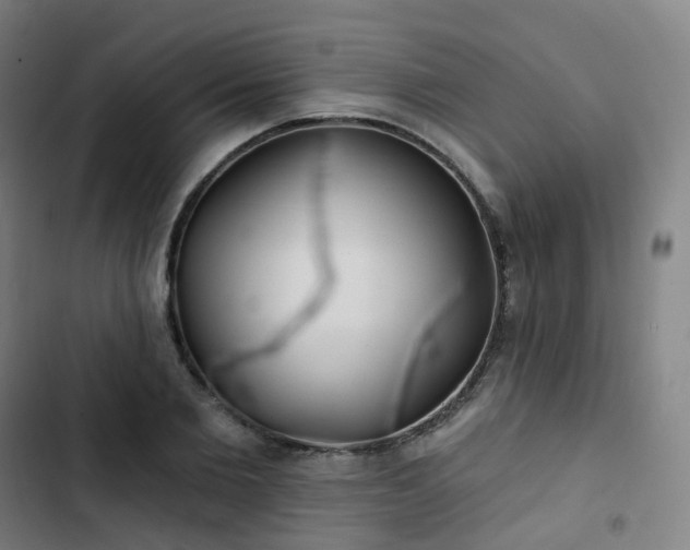 X0000103280885200809051528