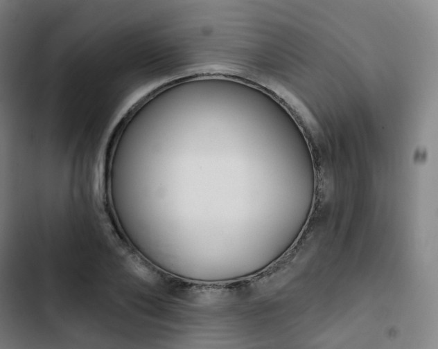 X0000103280886200809051528