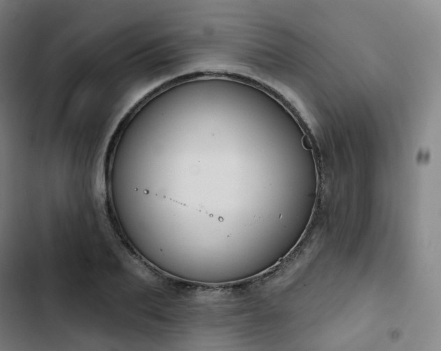 X0000103280887200809051528