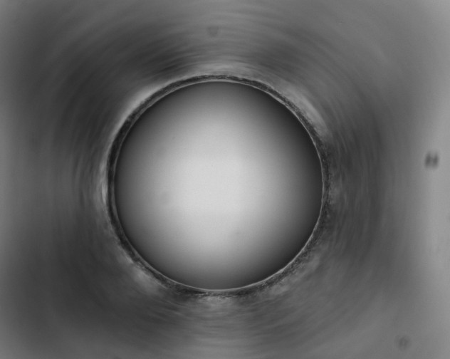 X0000103280888200809051528