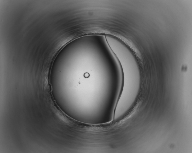 X0000103280889200809051528