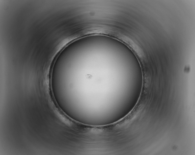 X0000103280890200809051528