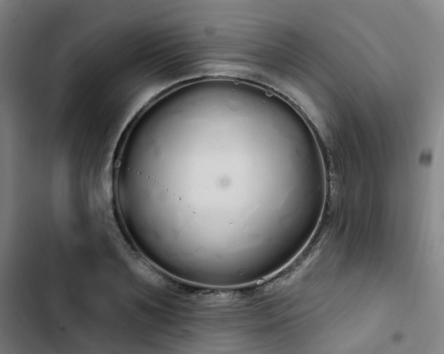 X0000103280891200809051528