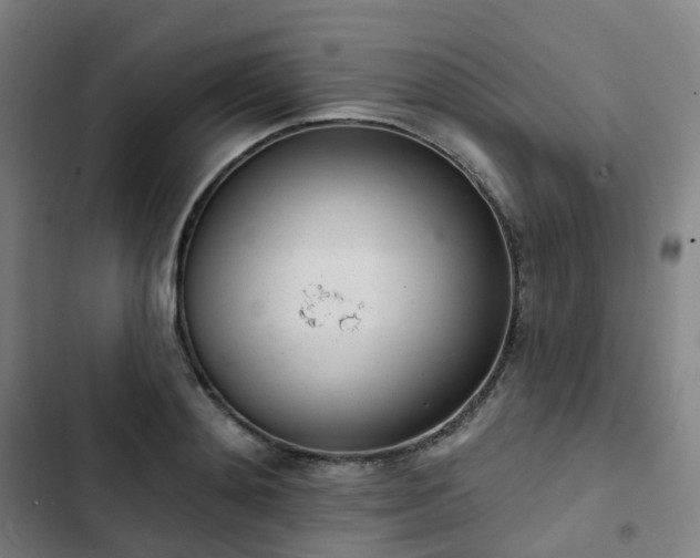 X0000103280892200809051528