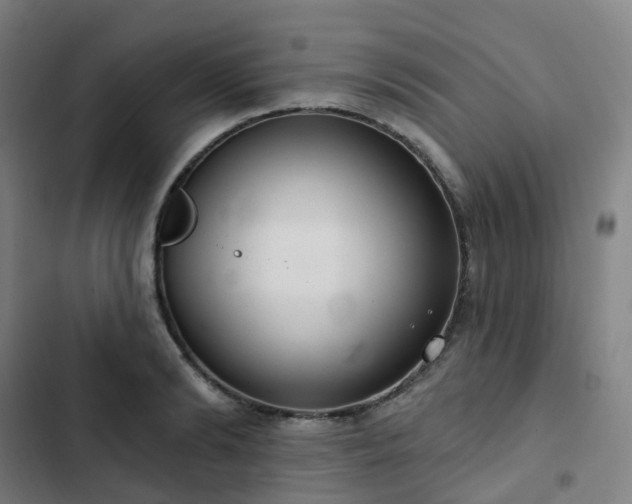 X0000103280894200809051528