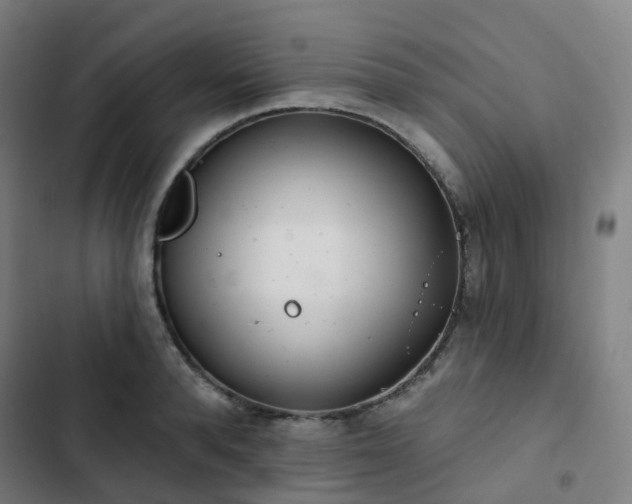 X0000103280896200809051528