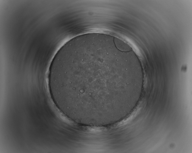 X0000103280899200809051528