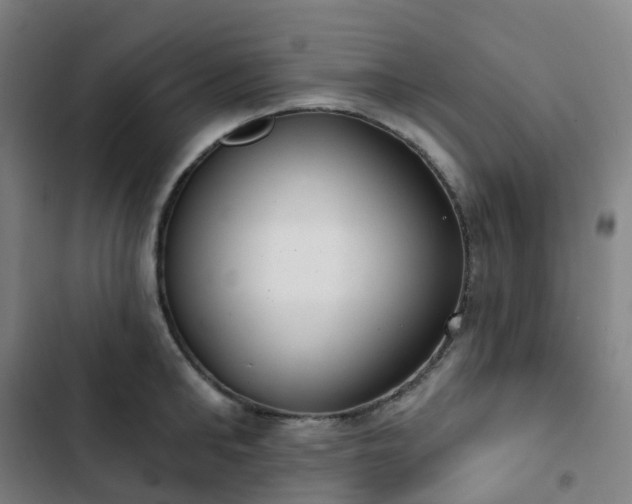 X0000103280902200809051528