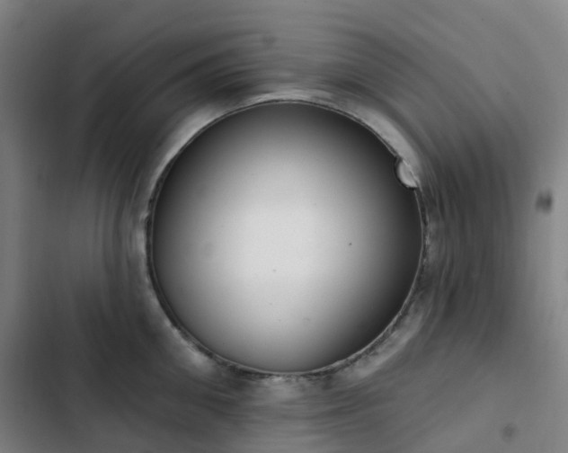 X0000103280906200809051528