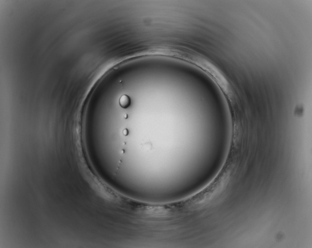 X0000103280907200809051528