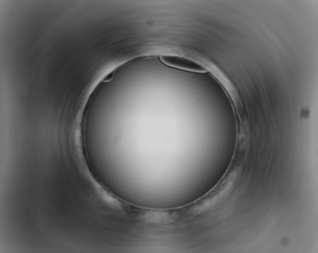 X0000103280909200809051528