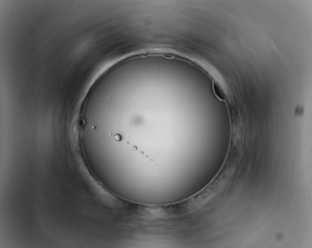 X0000103280911200809051528