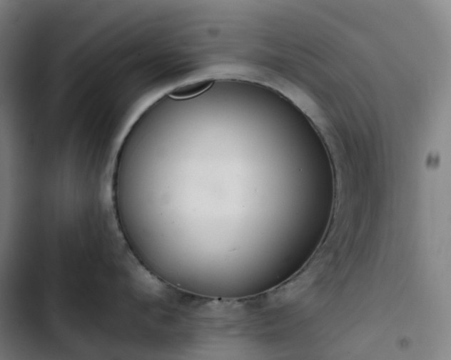 X0000103280912200809051528