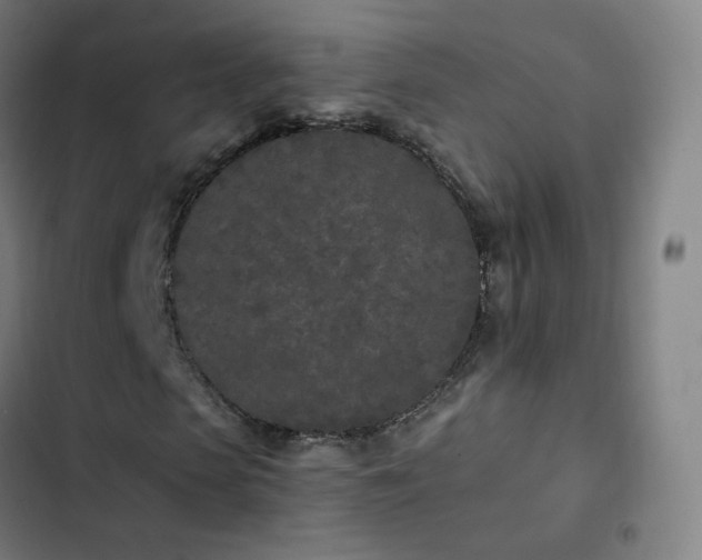 X0000103280913200809051527