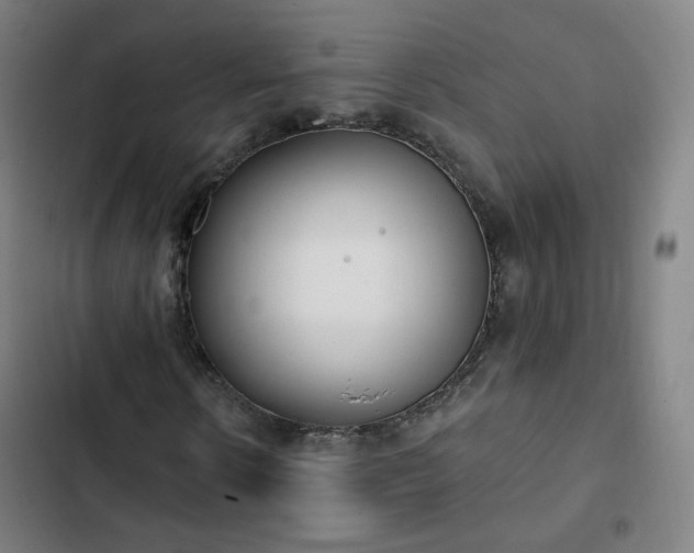 X0000103280914200809051527