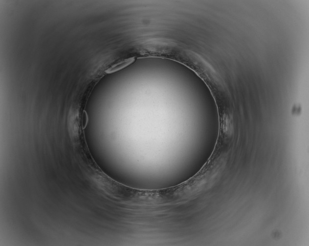 X0000103280915200809051527