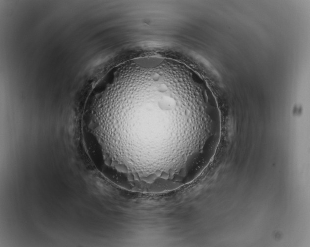 X0000103280917200809051527