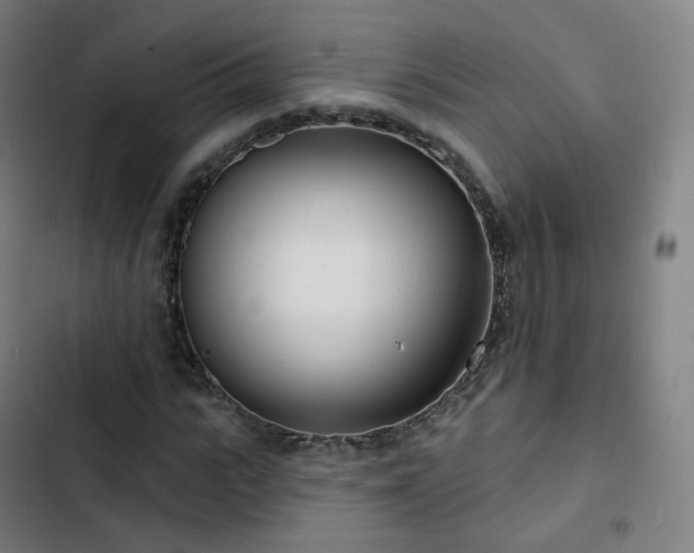 X0000103280919200809051527