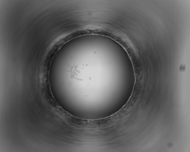 X0000103280920200809051527