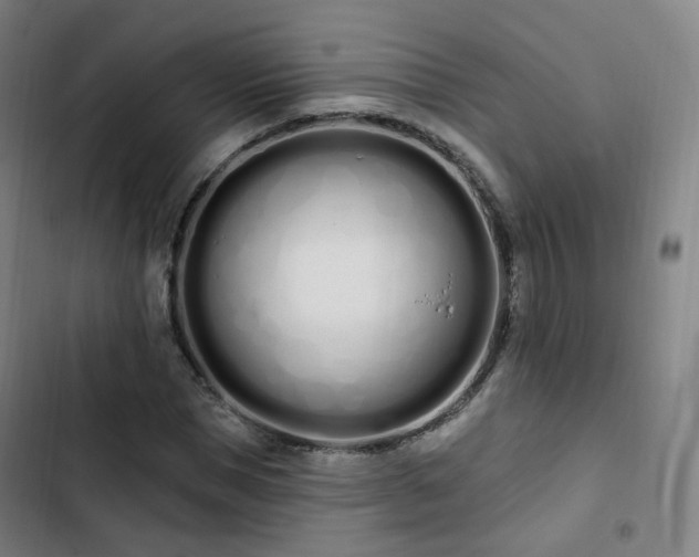 X0000103280921200809051527