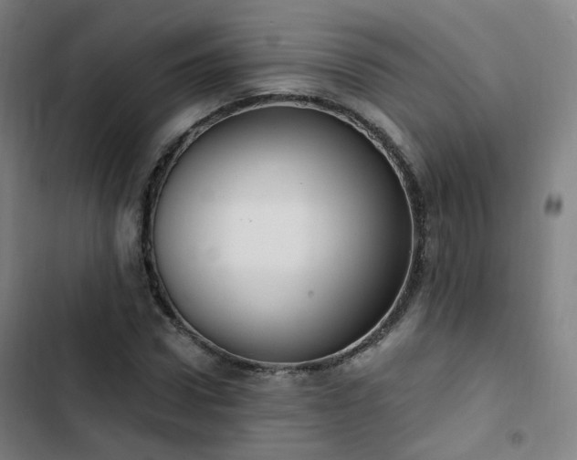 X0000103280922200809051527