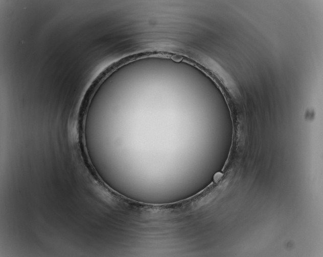 X0000103280924200809051527