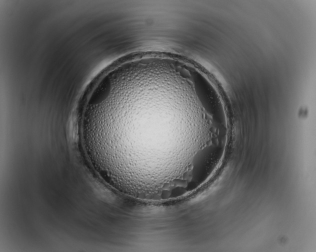 X0000103280925200809051527