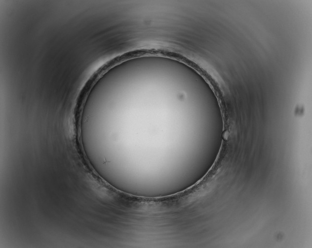 X0000103280927200809051527