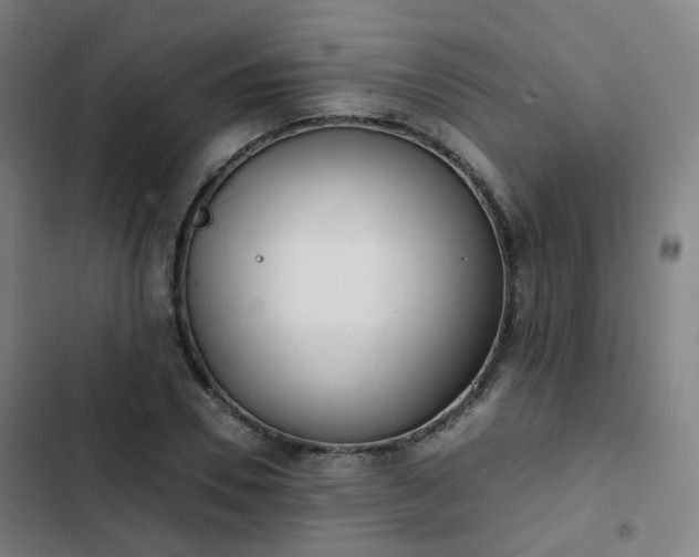 X0000103280930200809051527