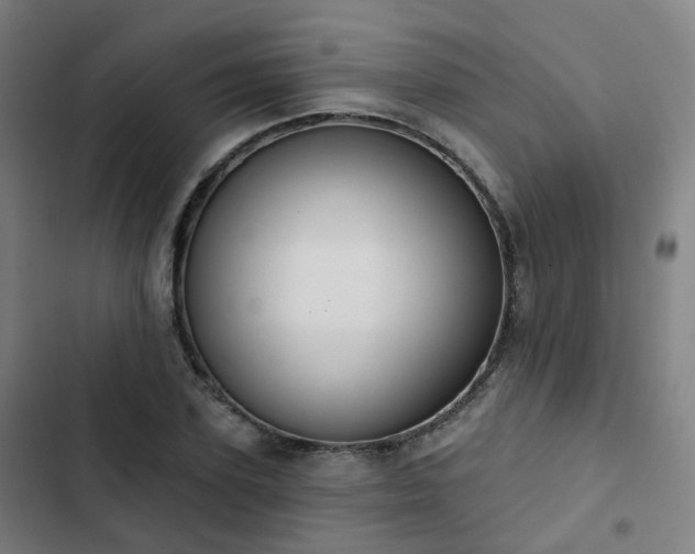 X0000103280931200809051527