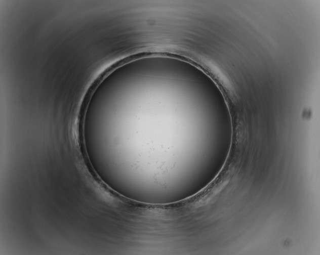 X0000103280932200809051527