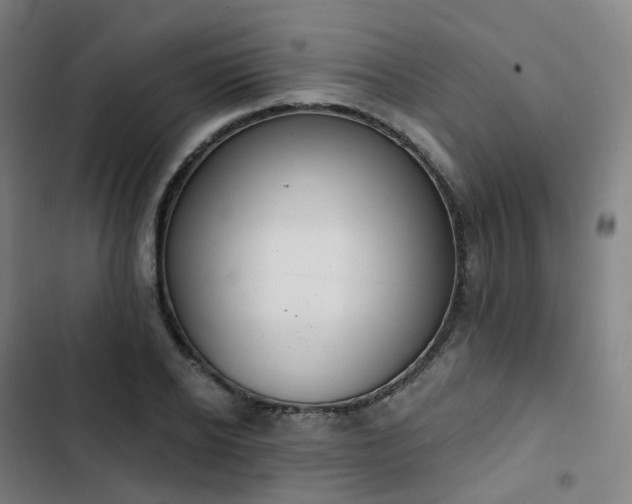 X0000103280934200809051527