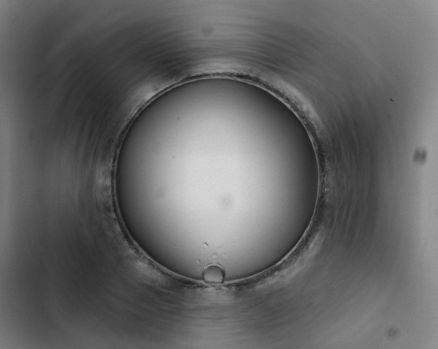 X0000103280937200809051527