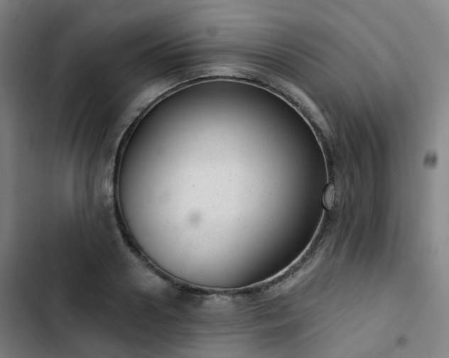 X0000103280938200809051527