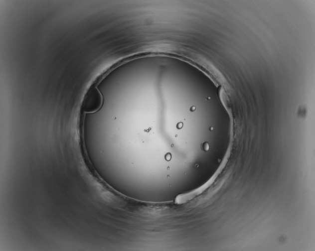 X0000103280939200809051527