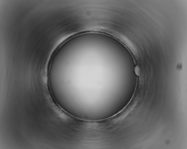 X0000103280940200809051527