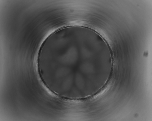 X0000103280941200809051527