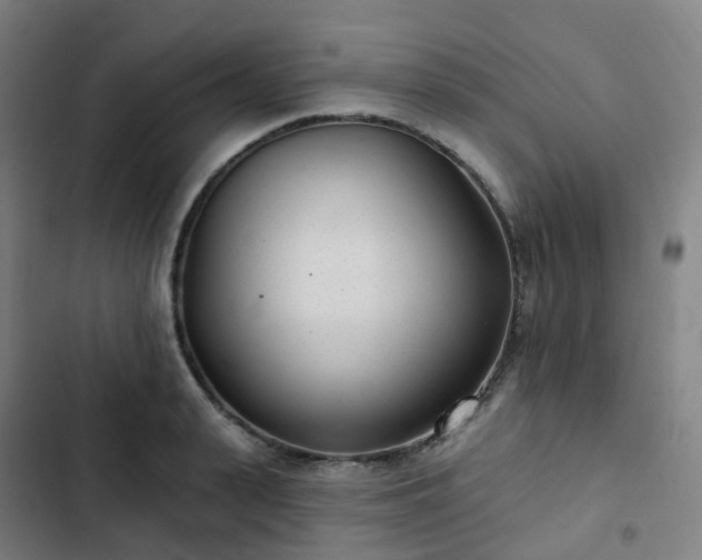 X0000103280943200809051527