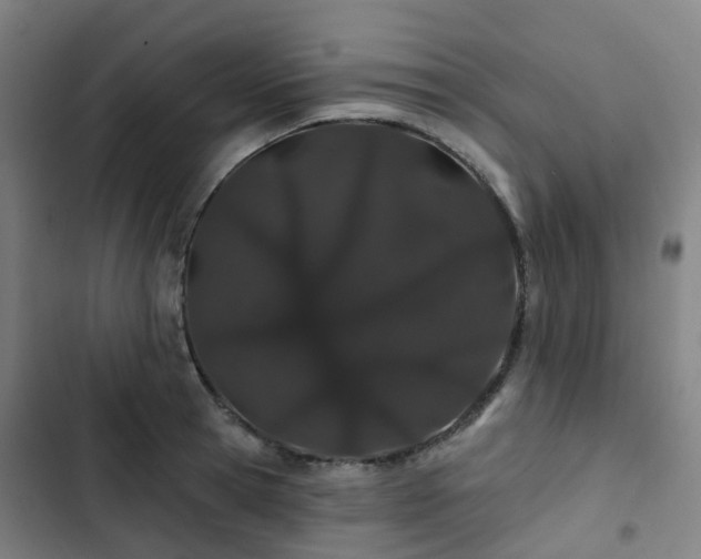 X0000103280945200809051527