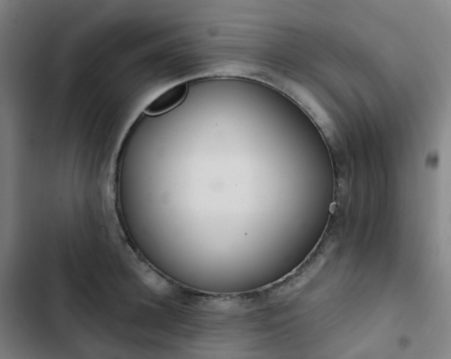 X0000103280948200809051528