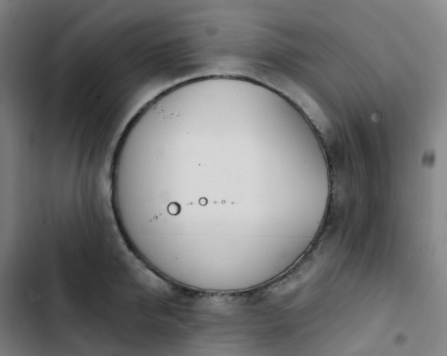 X0000103280950200809051528