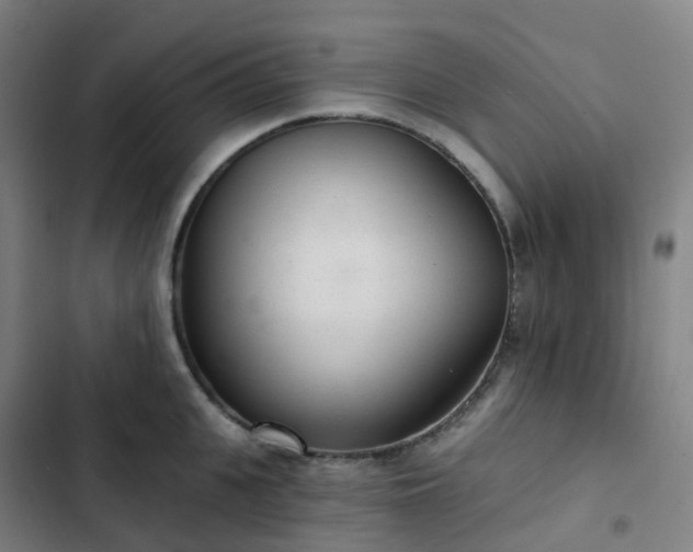 X0000103280951200809051528